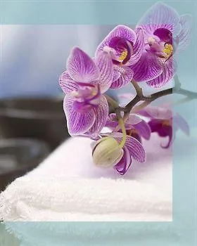 Arte & Mare Elia Luxury Suites And Villas Hotel